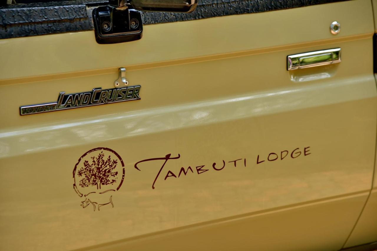 פילנסברג Tambuti Lodge מראה חיצוני תמונה